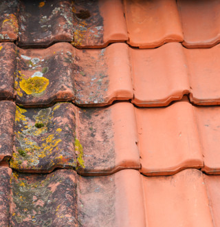 Démoussage et entretien complet de toiture